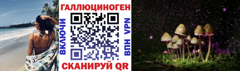 hydra вход  Дорогобуж  Галлюциногенные грибы Cubensis 